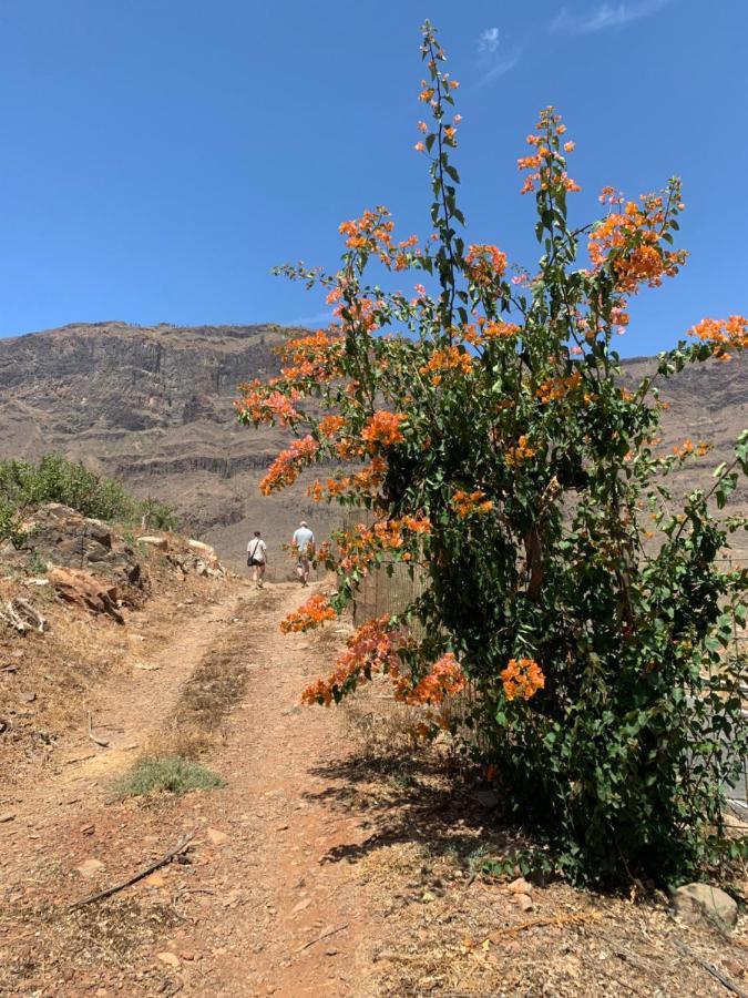 Hotel Masai Mara Resort Gran Canaria San Bartolomé Εξωτερικό φωτογραφία